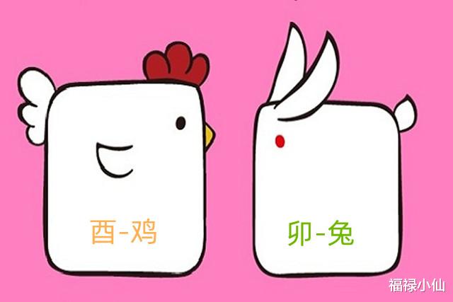 鸡免合并有玄机双数中特本期拿是什生肖,警惕虚假宣传落实,实时解答解释落实