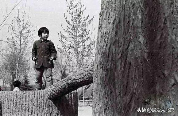 二单七双乱弹琴打一正确生肖,警惕虚假宣传-全面释义、解释与落实、详细解答解释落实