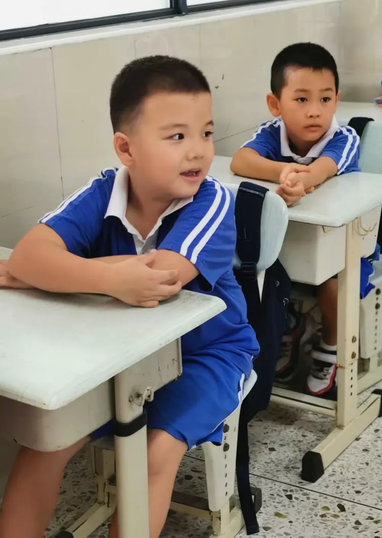 長才短取，新學小生。打倒地主做主人打一个准确生肖，全面释义、定量解答解释落实