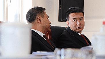 摇头摆尾打一个生肖是什么生肖，全面释义、全面解答解释落实