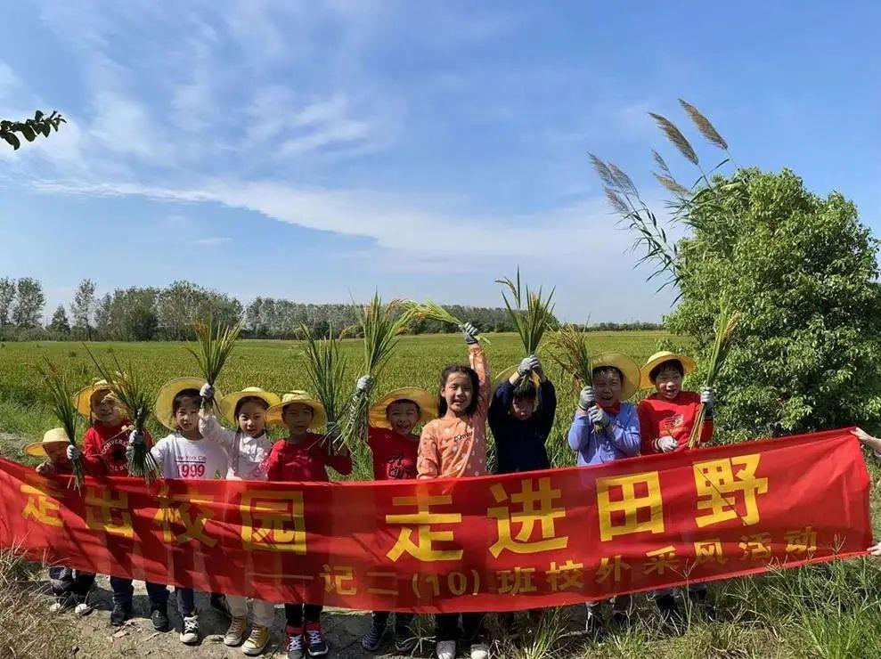 特码一路顺风走，机会会抓别放过打一正确生肖全面释义、构建解答解释落实