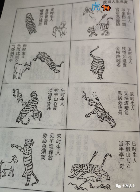 望天打卦非為氣餒隨遇而安更順遂打一个生肖警惕虚假宣传、全面解答与解释、实证解答解释落实